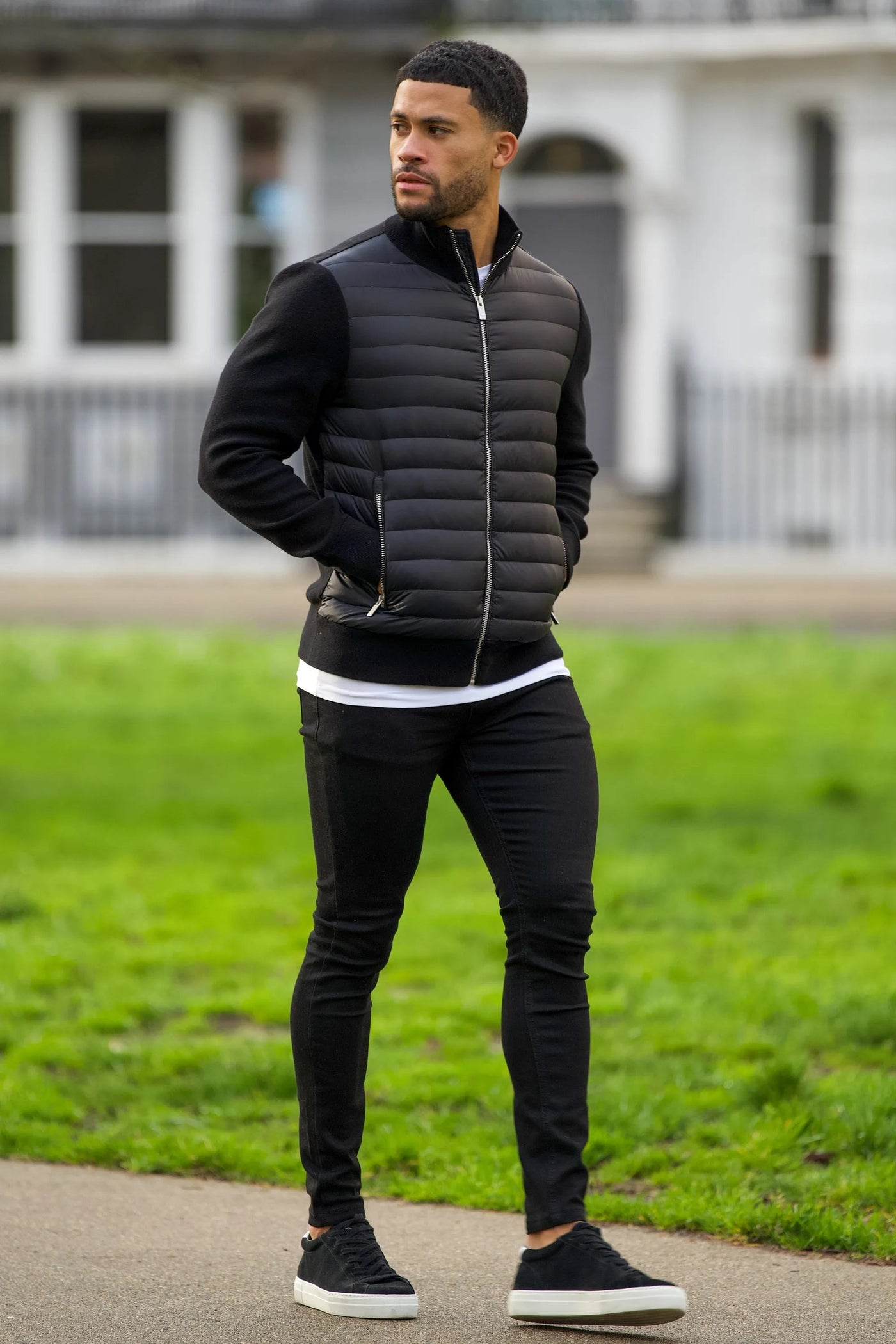 THE DAVID JACKET